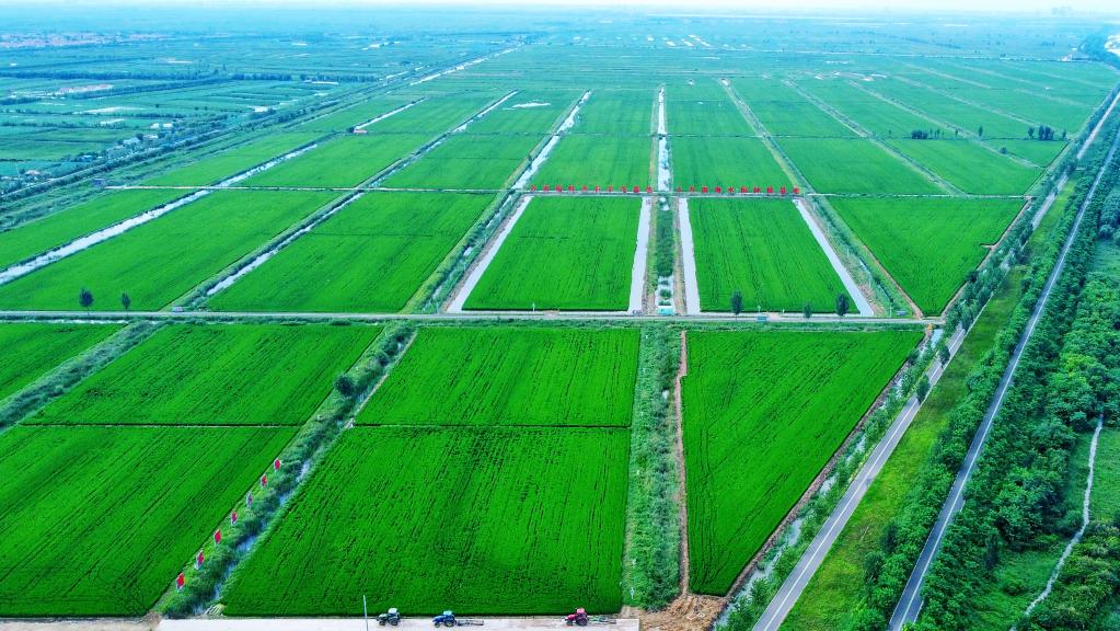 A scenic view of Weifang Fengtai Yanye Yizhiqun