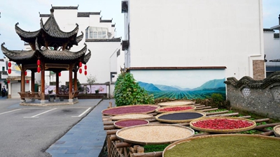 A scenic view of Weifang Fengtai Yanye Yizhiqun