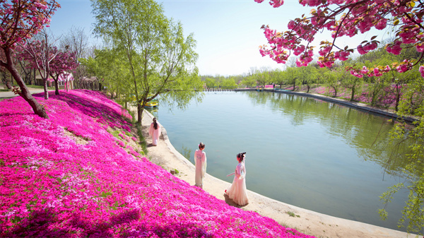 A scenic view of Weifang Fengtai Yanye Yizhiqun