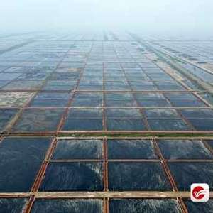 A scenic view of Weifang Fengtai Yanye Yizhiqun