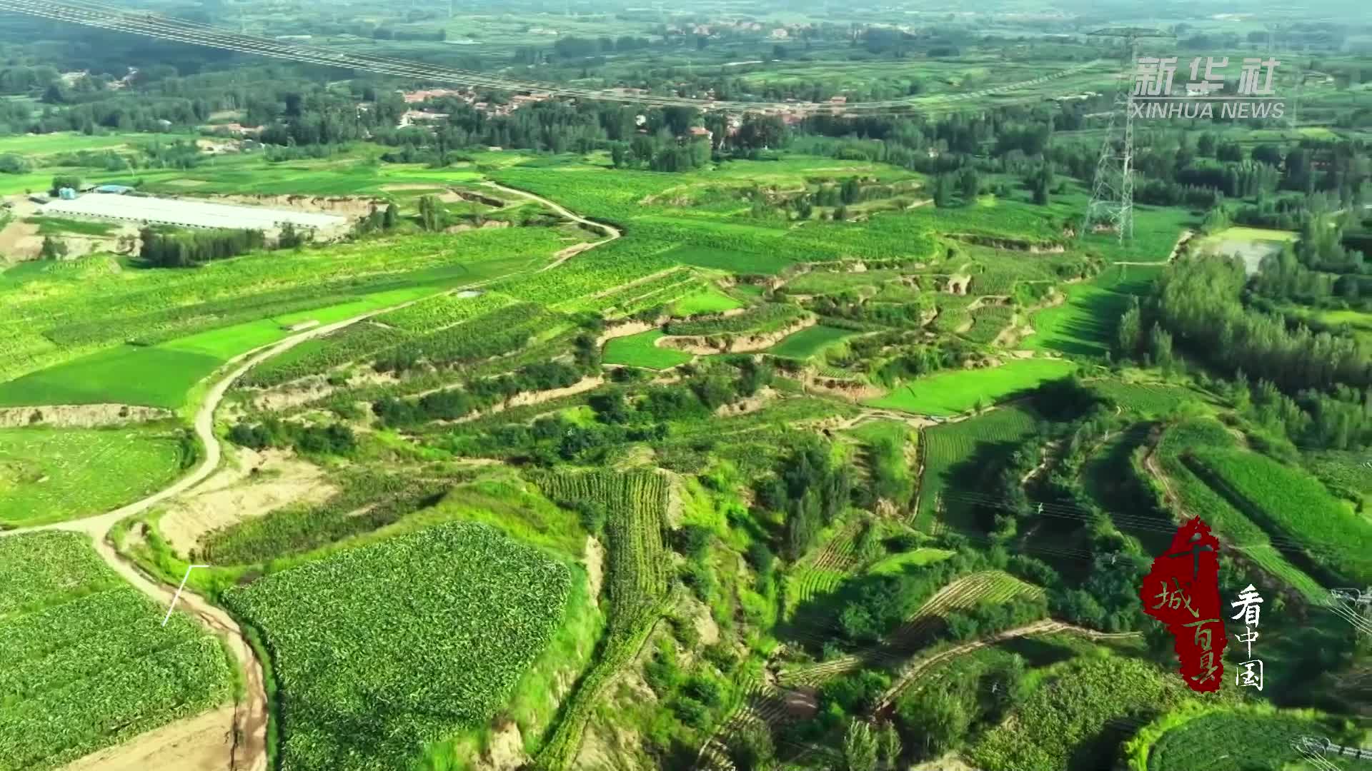 A scenic view of Weifang Fengtai Yanye Yizhiqun