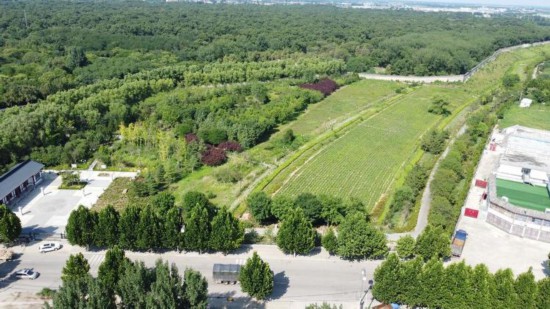 A scenic view of Weihai Liucun Shimuqun