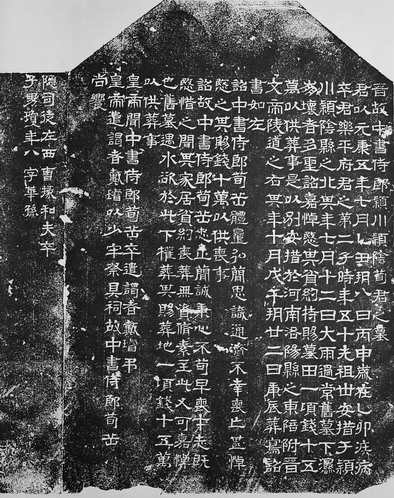 A scenic view of Weinan Hongnong Yang Family Tombs
