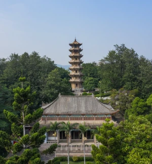 A scenic view of Weinan Jingjin Temple Pagoda