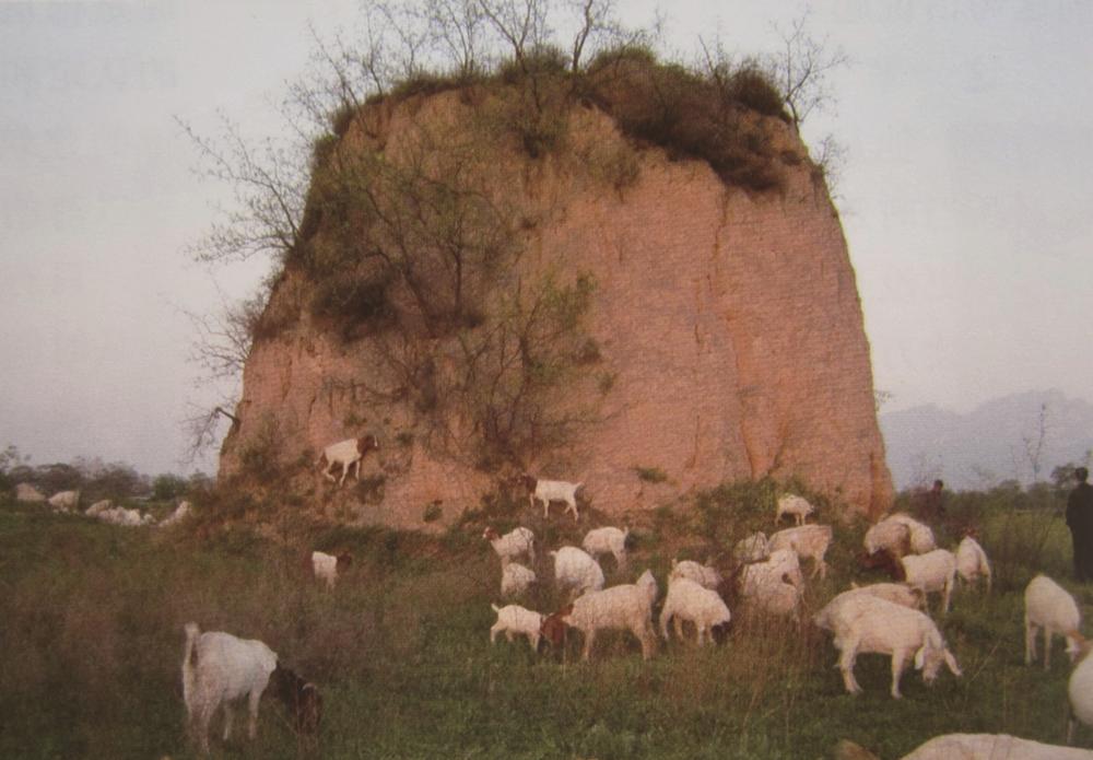 A scenic view of Weinan Twelve Liancheng Beacon Towers Site