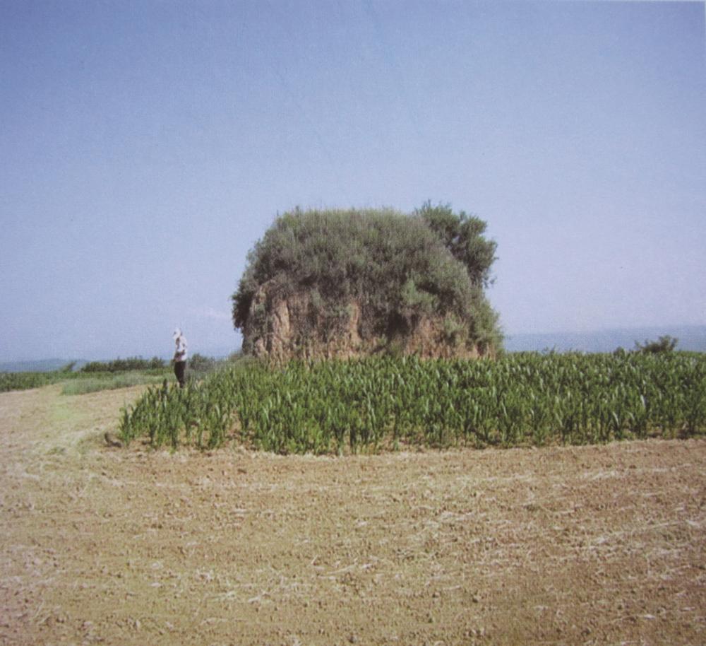 A scenic view of Weinan Twelve Liancheng Beacon Towers Site