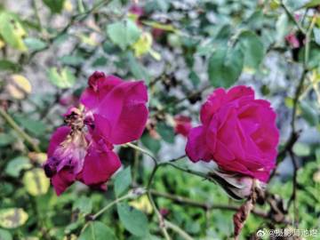 A scenic view of Wenzhou Caowanshan Yizhi