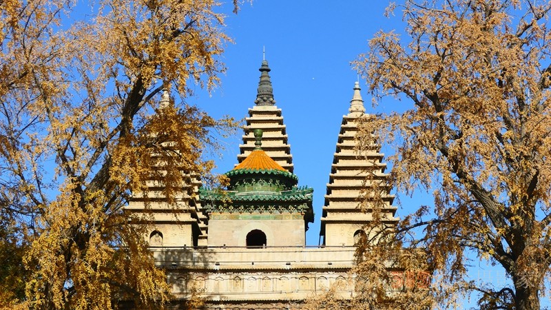A scenic view of Wenzhou Qizhensi Wufota
