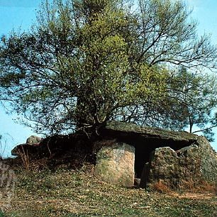 A scenic view of Wenzhou Zhenan Shipengmuqun