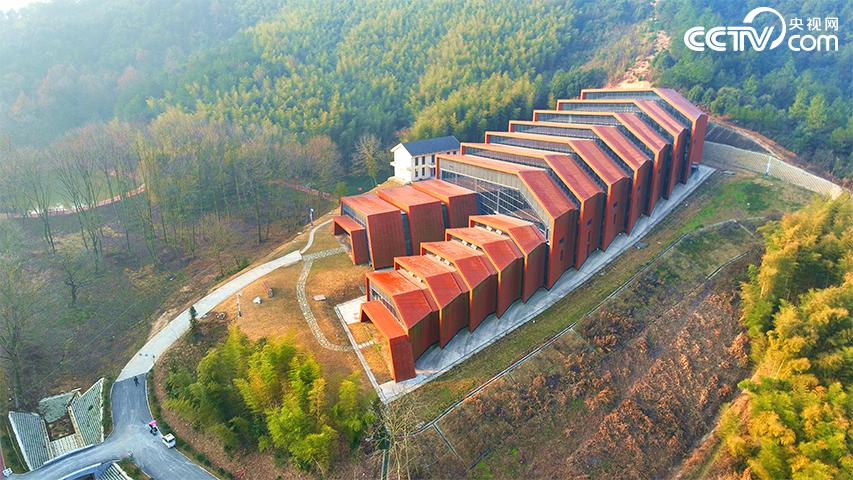 A scenic view of Wuhu Fanchang Yao Yizhi