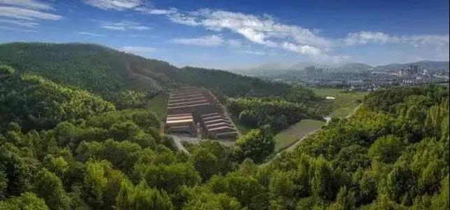 A scenic view of Wuhu Fanchang Yao Yizhi