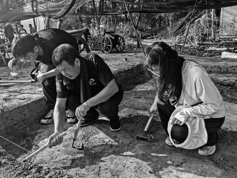 Discover the Enchantment of Wuhu Wannan Tudun Muqun: A Hidden Gem in Anhui