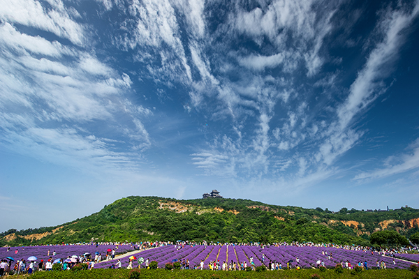 A scenic view of Wuxi Shiyuan