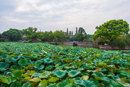 A scenic view of Wuxi Shiyuan
