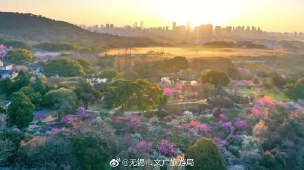 A scenic view of Wuxi Shiyuan