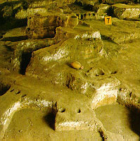 A scenic view of Xian Banpo Site