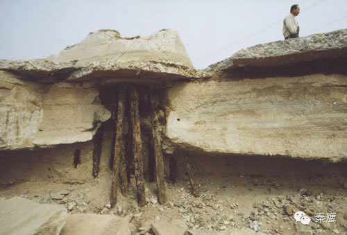 A scenic view of Xian Baqiao Site