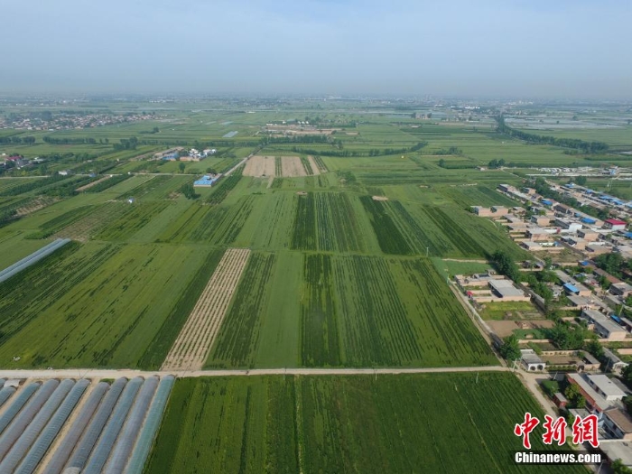 A scenic view of Xian Fenghao Site