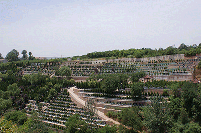 A scenic view of Xian Fengqiyuan Western Han Family Tombs