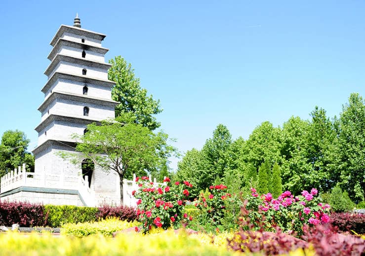 A scenic view of Xian Fengqiyuan Western Han Family Tombs