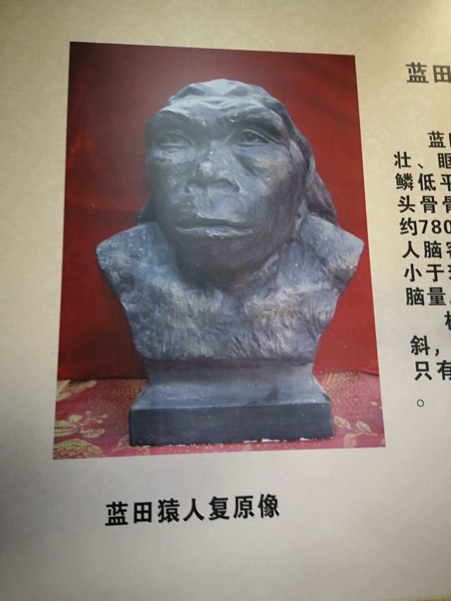 A scenic view of Xian Lantian Man Site
