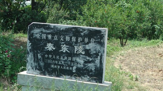 A scenic view of Xian Qin Eastern Tombs