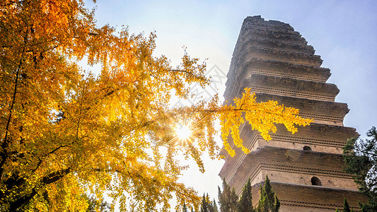 A scenic view of Xian Small Wild Goose Pagoda
