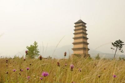 A scenic view of Xian Xianyou Temple Fawang Pagoda