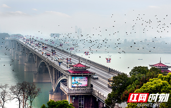 A scenic view of Xiangtan Beiwusheng Huiguan