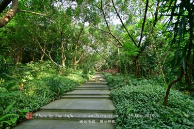 A scenic view of Xiangxi Liye Maicha Zhanguo Muqun