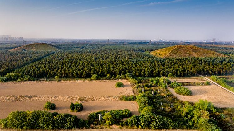 A scenic view of Xianyang Changling Mausoleum