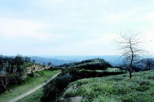 A scenic view of Xianyang Qin Zhidao Straight Road Site