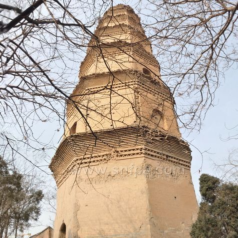 A scenic view of Xianyang Qingfan Temple Pagoda