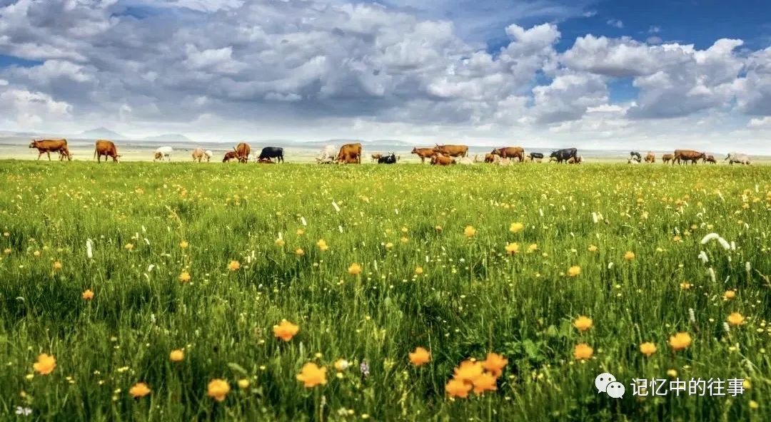 A scenic view of Xilingol Huizongsi
