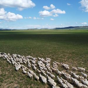 A scenic view of Xilingol Jinsitaidongxueyizhi