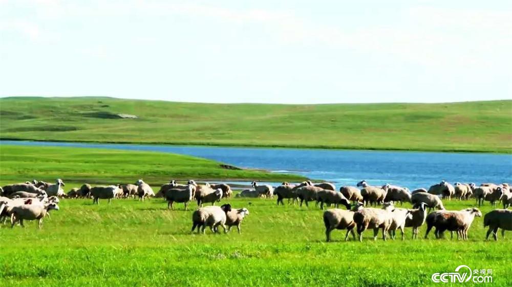 A scenic view of Xilingol Jinsitaidongxueyizhi