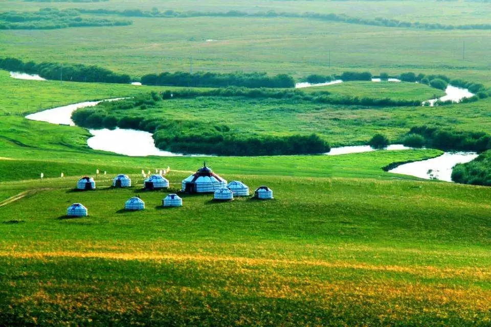 A scenic view of Xilingol Zhenzishangumuqun