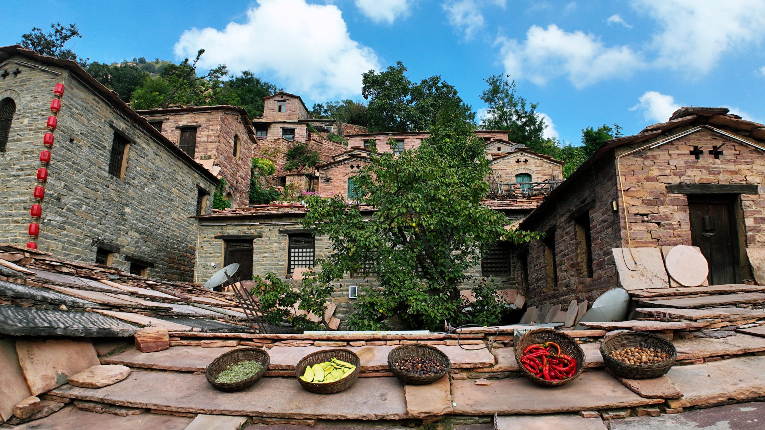 A scenic view of Xingtai Buyaocun Site