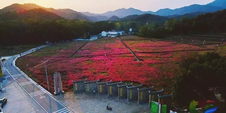 A scenic view of Xinyang Tianhumudi