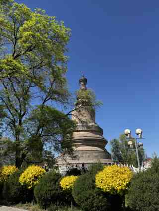 A scenic view of Xinzhou Ayuwang Pagoda Daixian