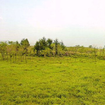 A scenic view of Xinzhou Fenyang Palace Site