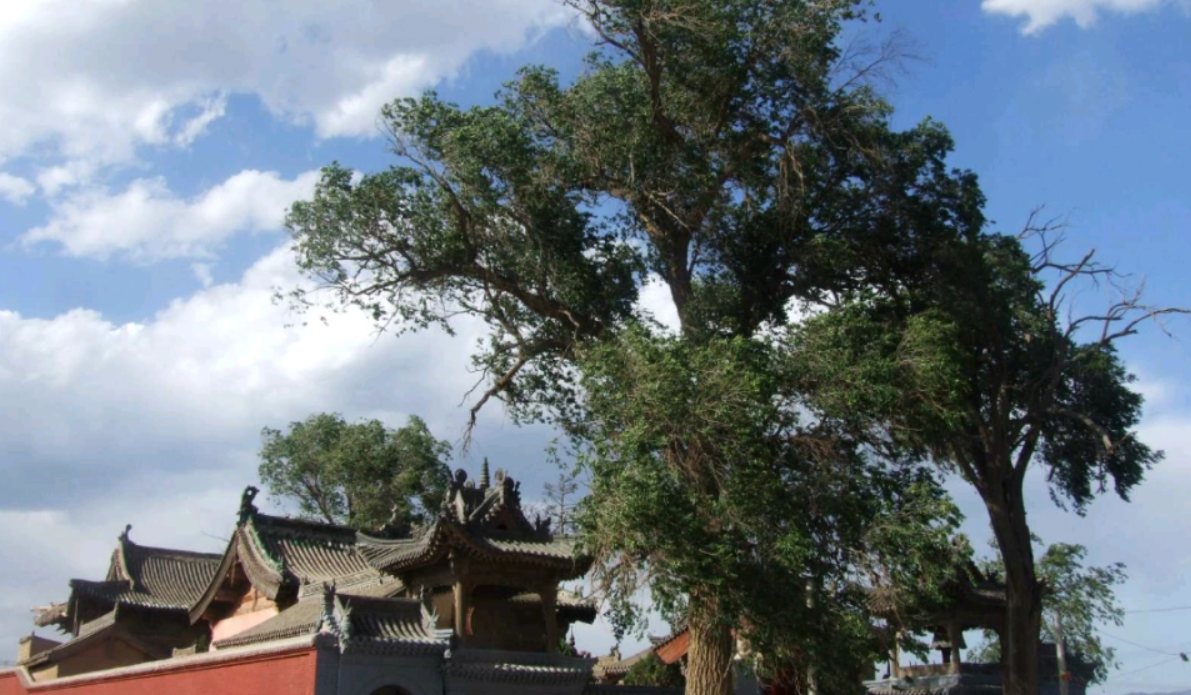 A scenic view of Xinzhou Sansheng Temple Fanshi