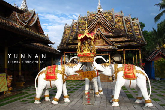 A scenic view of Xishuangbanna Manchunman Fosi