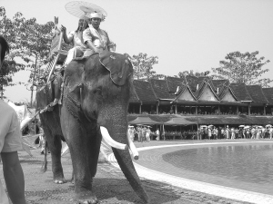 A scenic view of Xishuangbanna Manchunman Fosi