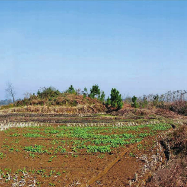 A scenic view of Xuancheng Jianpingzhen Tudun Muqun