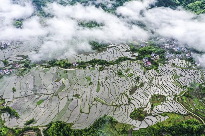A scenic view of Xuancheng Jingde Wenmiao