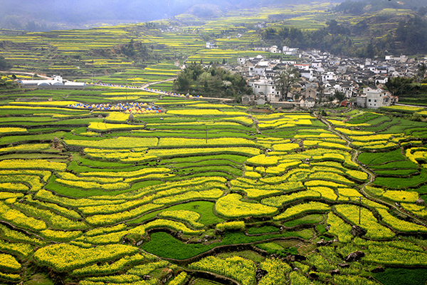 A scenic view of Xuancheng Jixi Wenmiao