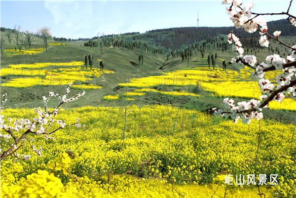 A scenic view of Xuzhou Liulin Yizhi