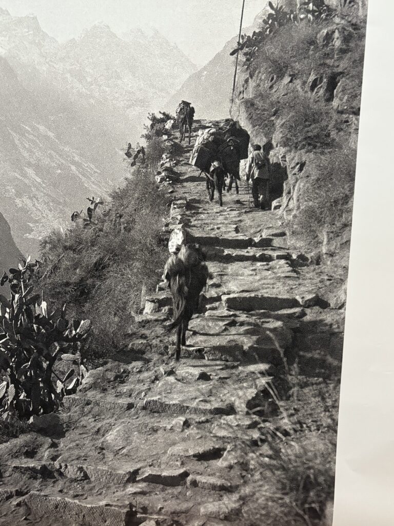 Explore the Enchantment of Yaan Ershisidao Guai Gudao Yizhi: A Hidden Gem in Sichuan