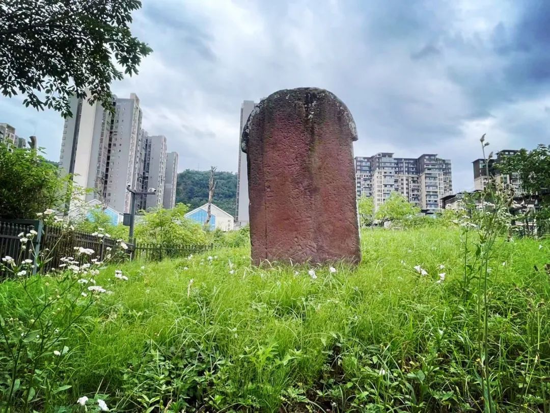 A scenic view of Yaan Gaoyi Muque Ji Shike